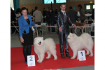 Nationale d'élevage 2015